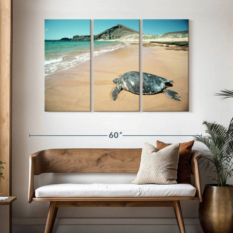 Brampt Galapagos Loggerhead Turtle, 32" H x 50" W