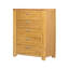 35.4x17.3x44" 5-Drawer Dresser