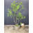 Artificial Japanese Enkianthus Tree Faux-967423160