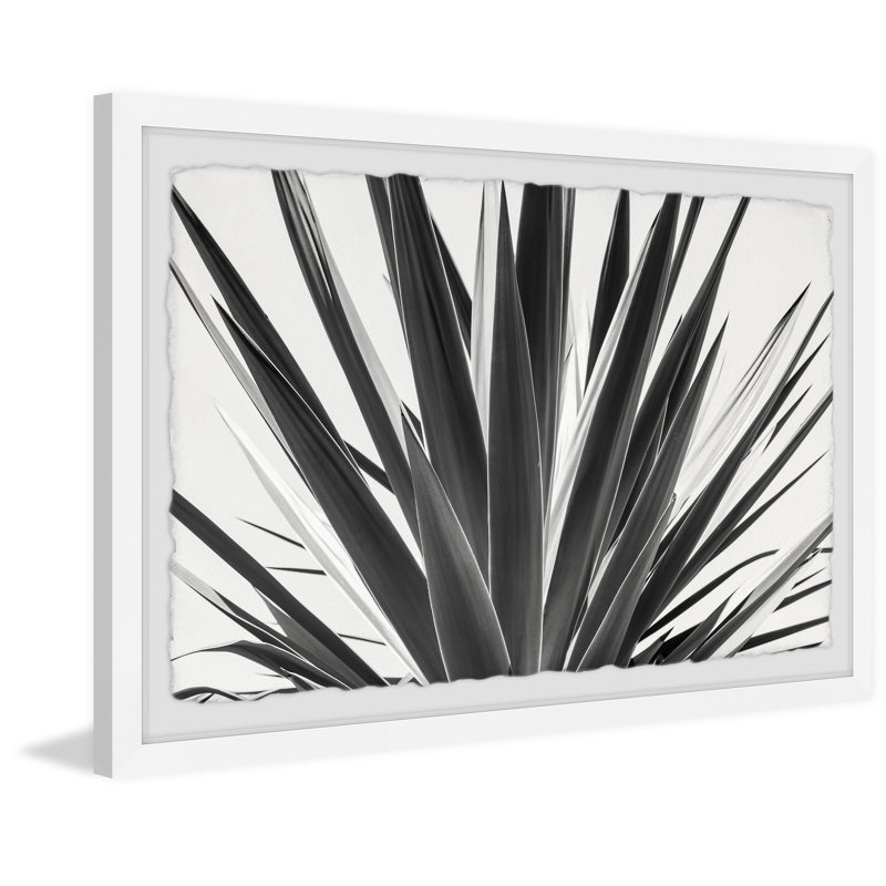 Sword Shaped Leaves - Single Picture Frame Painting, 38 cm H x 45 cm W