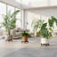 Plant Stand - Set of 2
