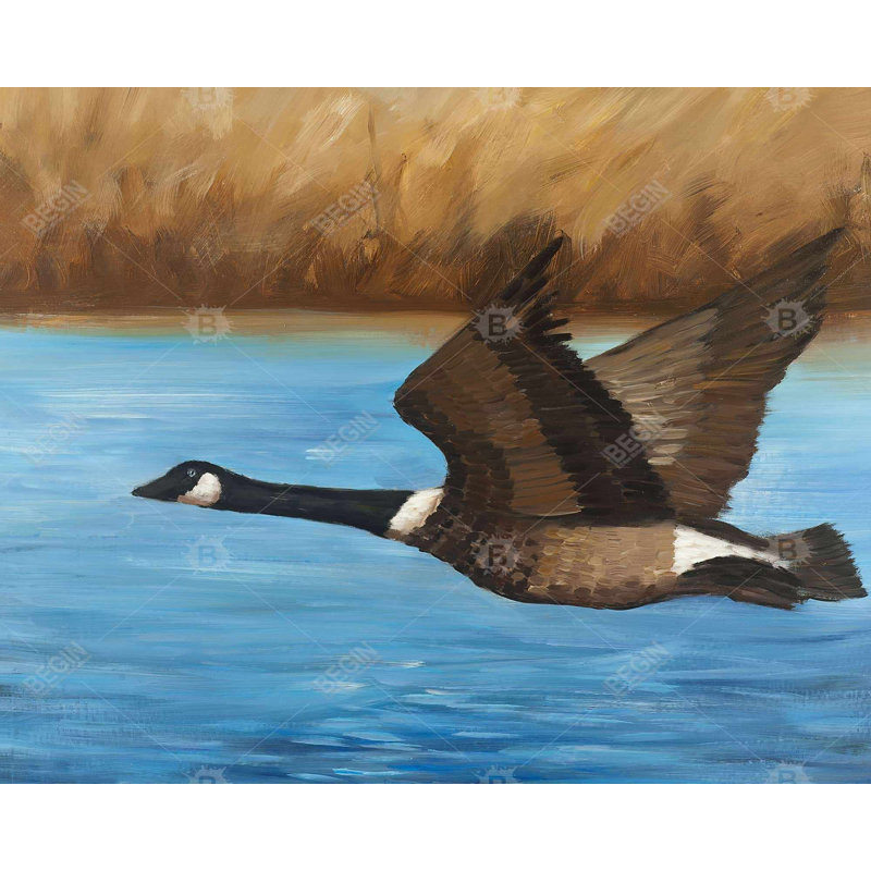 Canada Goose Print On Canvas