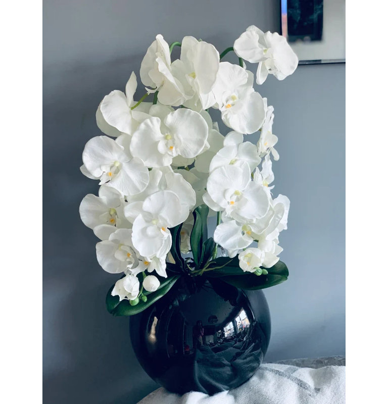 Faux White Orchids In Gloss Bowl, Black 