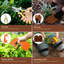 Ensemble d'outils de jardin en acier inoxydable