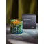 Absolute Forest Oakmoss Scented Candle