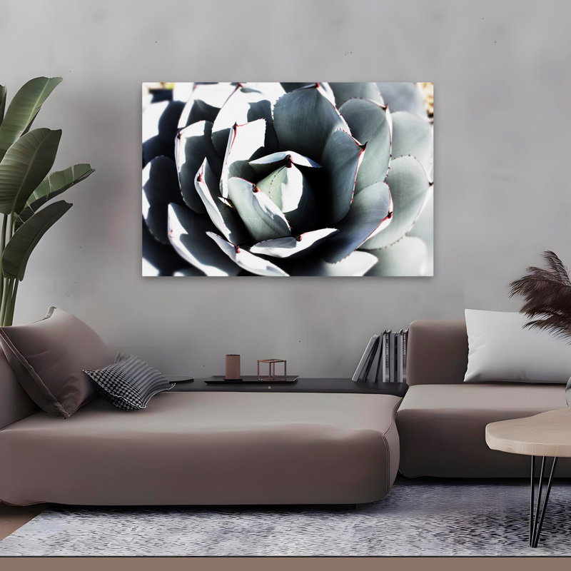 Paysage, nature, plantes, fleurs, plante grasse printanière, H 32 po x l 48 po