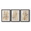 Parchment Coral I - ensemble de 3 reproductions de cadres photo-207375874-207375873