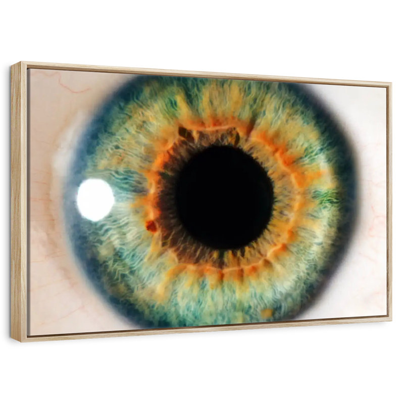 Green Eye, Floating Frame Gold, 40" X 27"