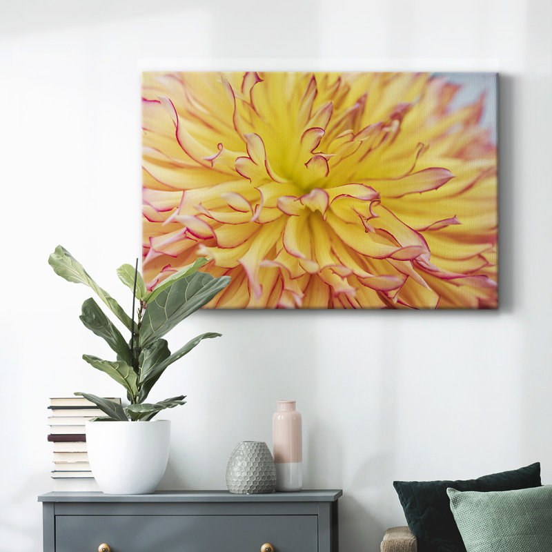 Toile tendue Blooms III-Gallery, H 12 po x l 18 po
