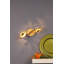 Leenhouts LED Flush Mount and Spotlight