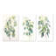 «Green White Minimalisme Eucalyptus Essence I», 3 pièces sur toile-2065702668-2065702673