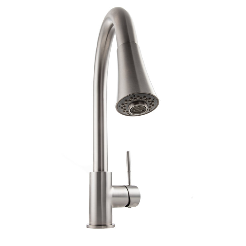 Edison Single Handle Kitchen Faucet with Side Spray and Accessories, Stainless Steel