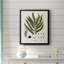 Toile encadrée de qualité supérieure Botanical Society Ferns II - prête à être accrochée-1365227731-1365227730