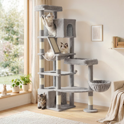 Arbres à chat