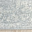 Nuss Performance Oriental Rug-723957145