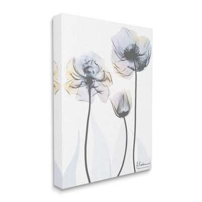 «Poppy Flower Trio», art mural sur toile par Albert Koetsier