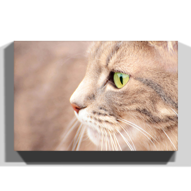 Cat Eyes Photographic - Wrapped Canvas, 70cm H x 100cm W