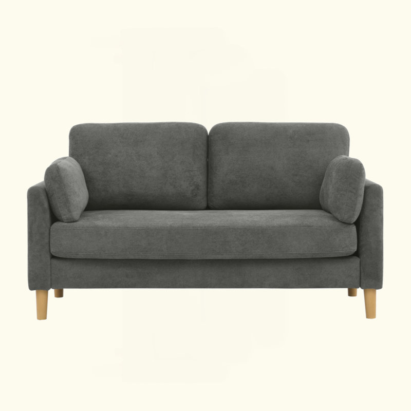 Modern Minimalist 2-Seater Sofa, Gray