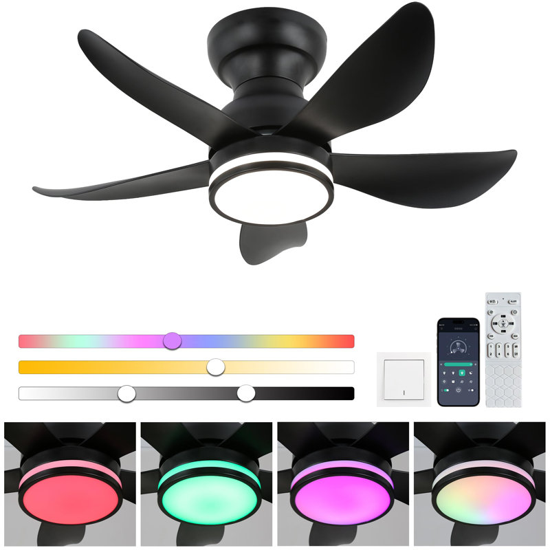 Ceiling Fan with LED Lights