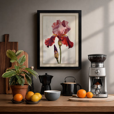 Iris in Rose Botanical - Framed Print