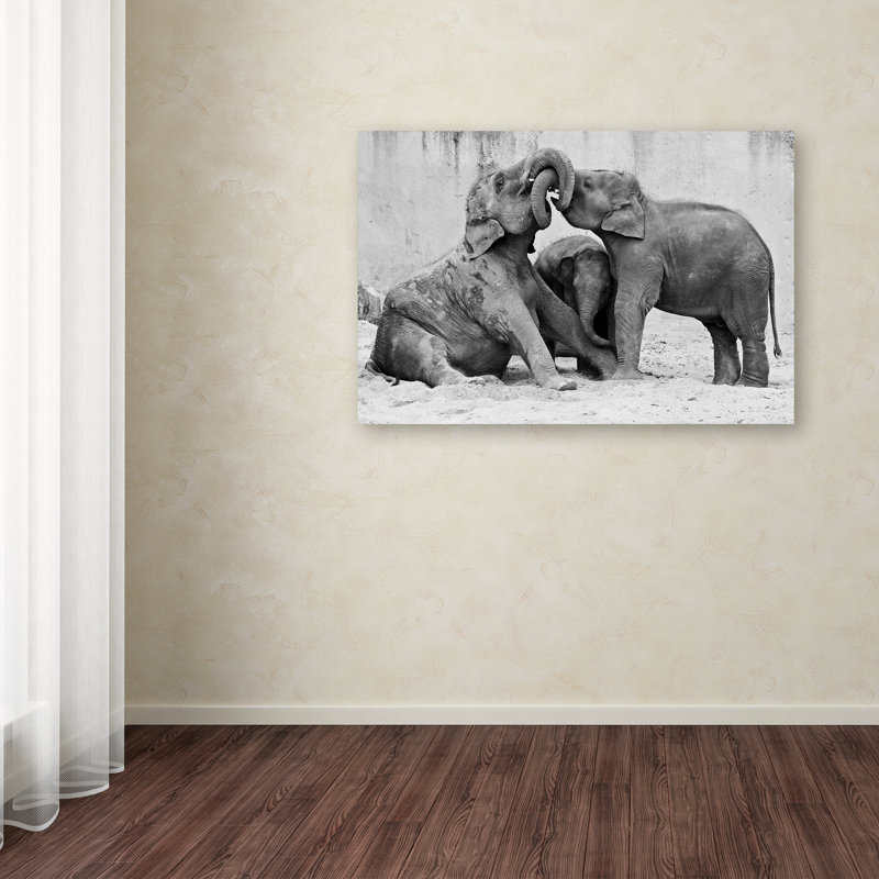 « menage a trois », reproduction de photo sur toile tendue, 16 po x 24 po