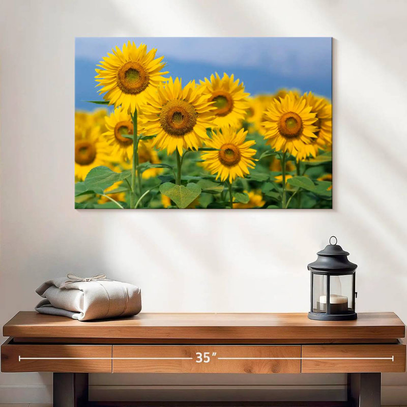 Harnek Honshu tournesols, H 16 po x l 24 po