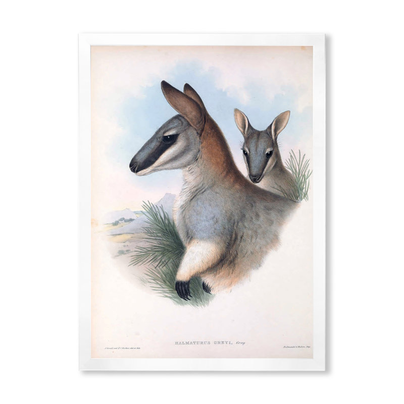 Kangourou rétro - peinture sur toile, H 40 po x l 30 po x 1,5 po, Cadre photo blanc