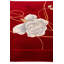 Tapis rouge Oropeza