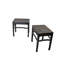 Pair of 19th Century Black Lacquered Side Tables