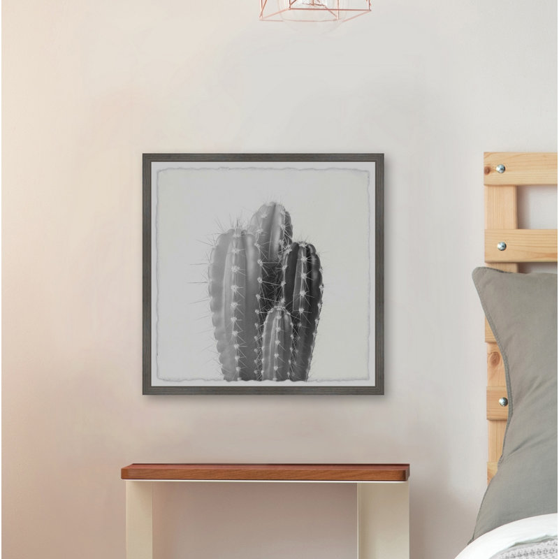 Single Picture Frame Print, 41cm H x 41cm W x 3.81cm D