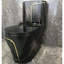 Dual-Flush Elongated One-Piece Black Toilet (Seat Included)
