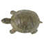 Aesop's Turtle Cast Iron Statue