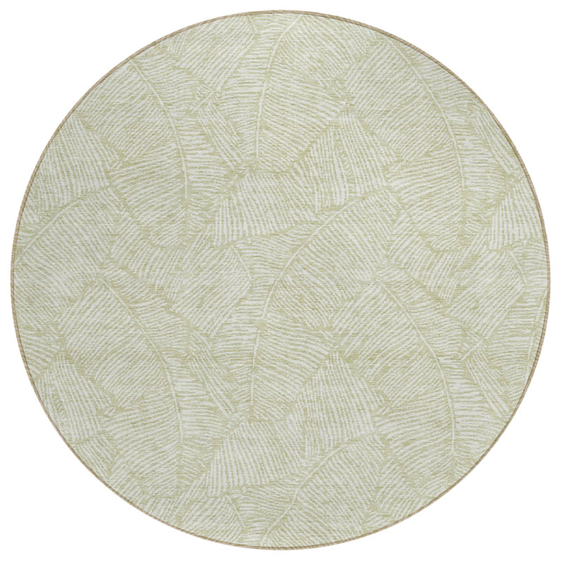 Colwart Floral Indoor / Outdoor Rug, Round 8'