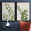 «Botanical Wash I», ensemble de 2 reproductions d'art sur toiles-455244302-455244299-455244318