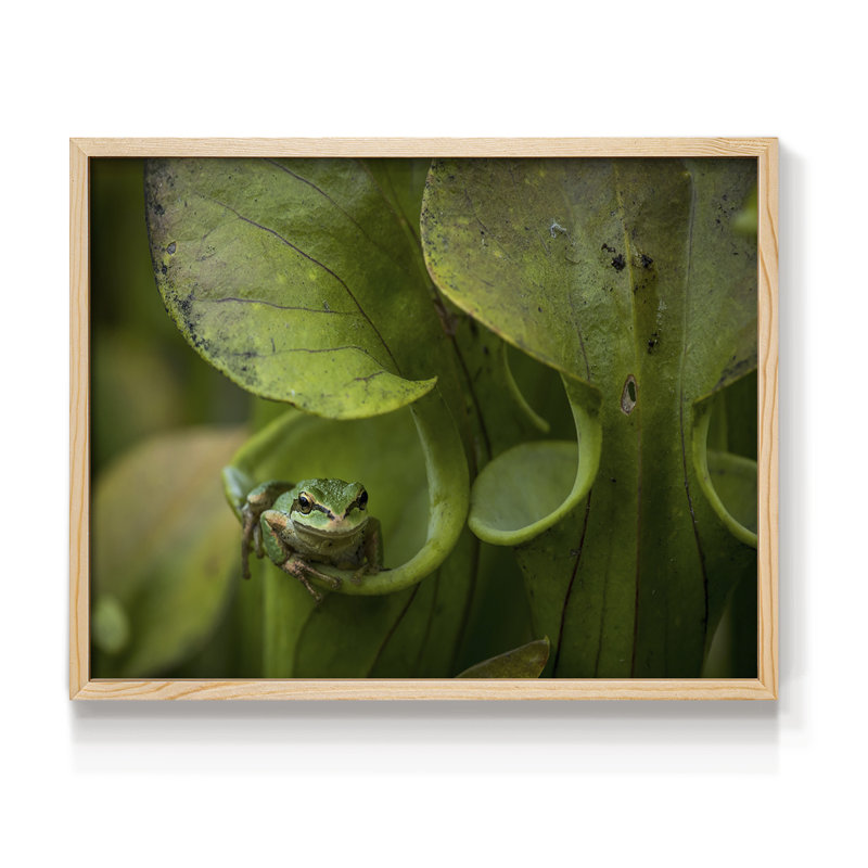 Arboreal Refuge -Framed Print - Restickable
