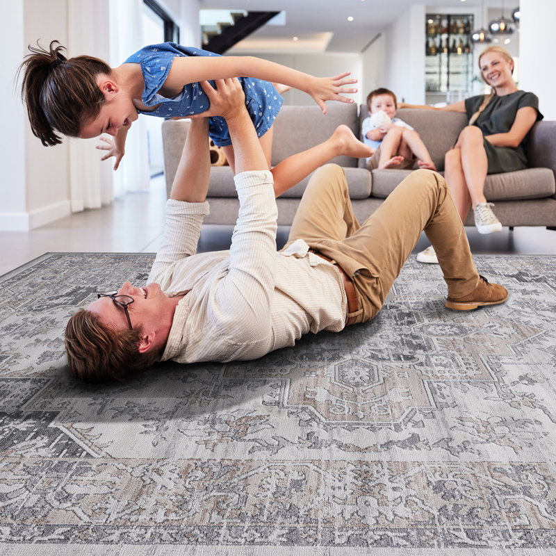 6X9 Area Rug - Stain , Non-Shedding, Fascinating For Living Room, Nursery, Dorm Home Decor Enticing Bedroom, Dining Study,