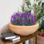 Pot de fleurs rond en polyrésine pour l'extérieur 20,75 po x 20,75 po x 11,5 po Ascend - Sable-1780992737-1780992740-1833277701