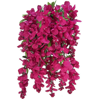 Fleurs et tiges de glycine