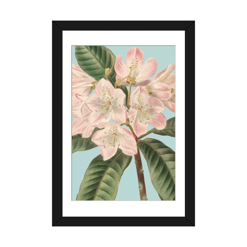 « fraîche fleurs ii », reproduction d’impression sur toile, H 24 po x l 16 po x P 1 po, Papier d'art encadré noir, Blanc