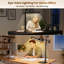 Desk Lamp