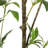 120CMARTIFICIAL PIERIS TREE