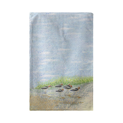 Torchon Summer Avocets