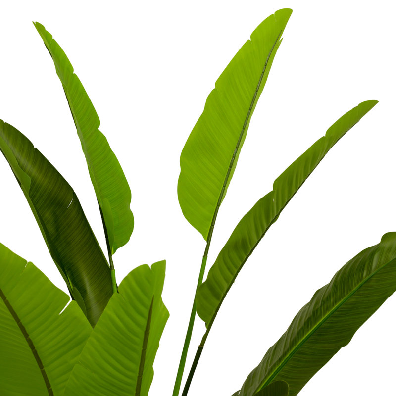 Artificial Plant Strelitzia Green, 70.87" x 39.37"