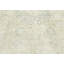 Muted Beige Traditional 8X10 Oriental Area Rug