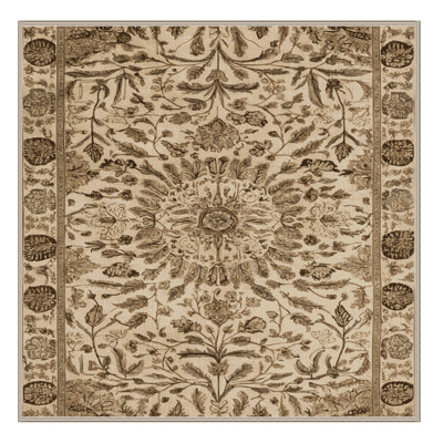 Machine Washable Nature Brown Area Rug