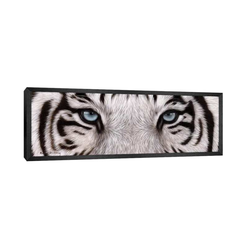 White Tiger Eyes by Rachel Stribbling - Panoramic Print on Canvas, Black Framed, 30.48 cm H x 91.44 cm W