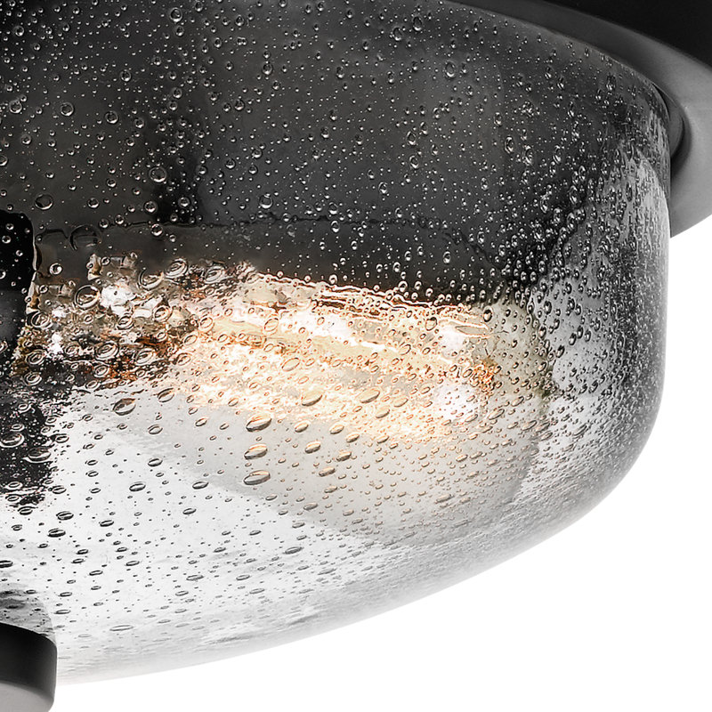 Flush Mount, Clear, Earth Black