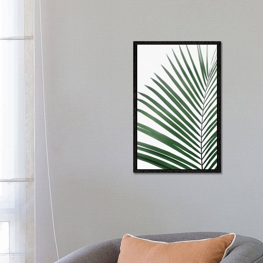 Paml Leaf von Sisi & Seb - Gallery-Wrapped Canvas Giclée on Canvas