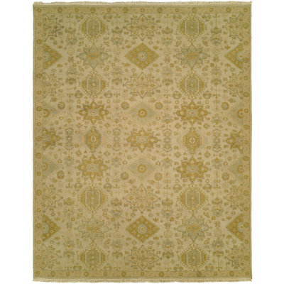 Faiyaz Wool Oriental Area Rug in Gold/Beige