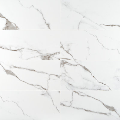 Everstone 12" x 24" Polished Marble Look Porcelain Floor and Wall Tile